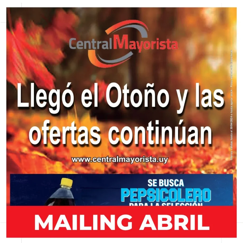 mailin abril 24 central mayorista